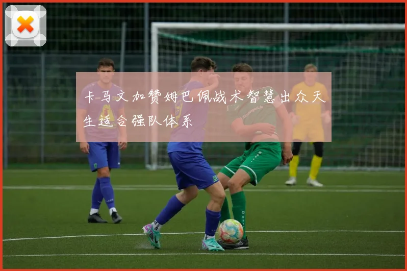 卡马文加赞姆巴佩战术智慧出众天生适合强队体系