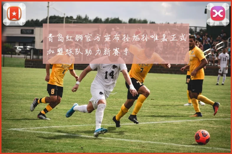青岛红狮官方宣布孙旭孙唯嘉正式加盟球队助力新赛季