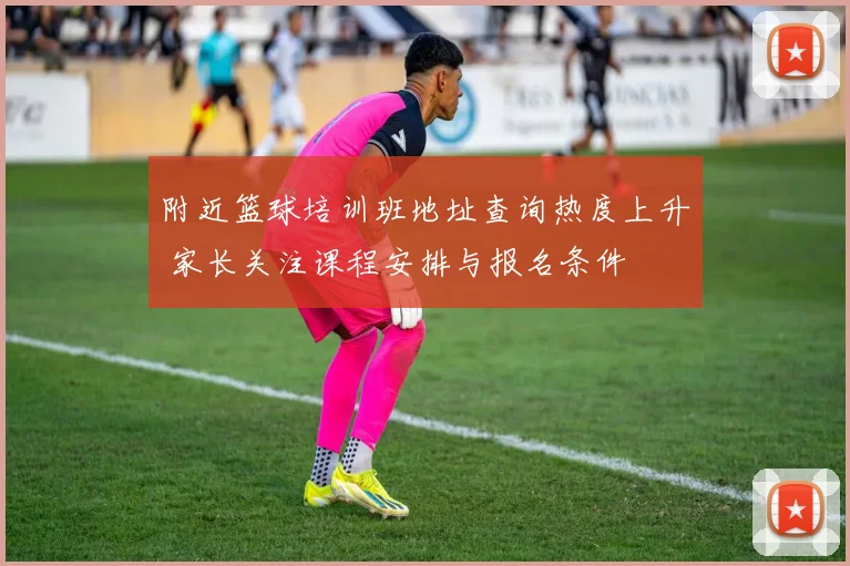 附近篮球培训班地址查询热度上升 家长关注课程安排与报名条件